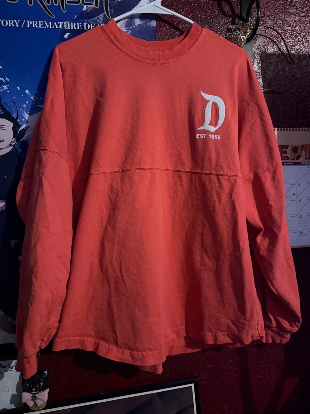 Disney Disneyland Spirit Jersey
